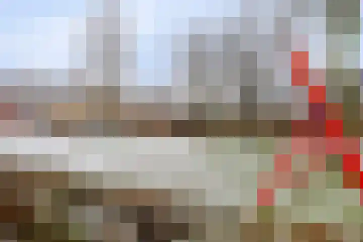 To Janssenstraat 38 's-Hertogenbosch thumbnail 47