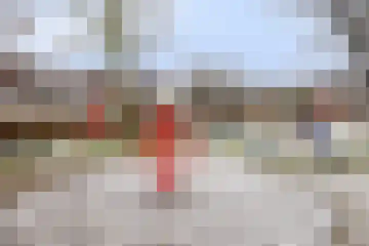 To Janssenstraat 38 's-Hertogenbosch thumbnail 48