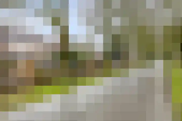 To Janssenstraat 38 's-Hertogenbosch thumbnail 52
