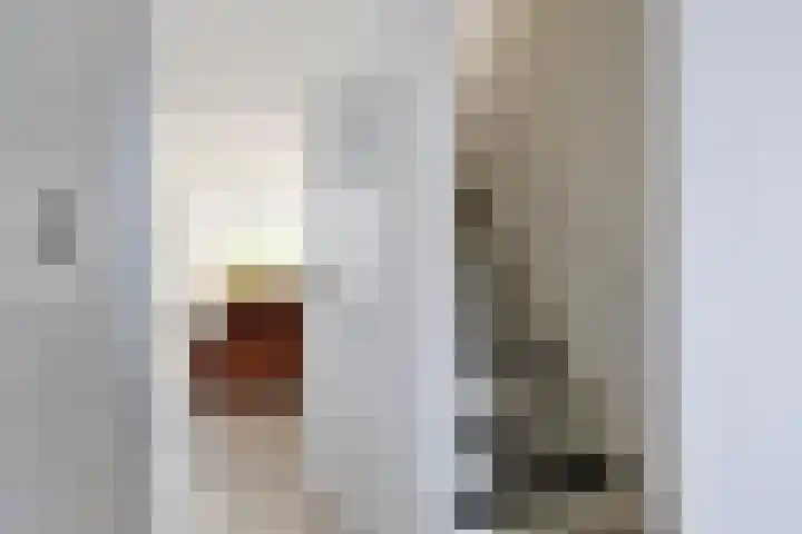 To Janssenstraat 38 's-Hertogenbosch thumbnail 9