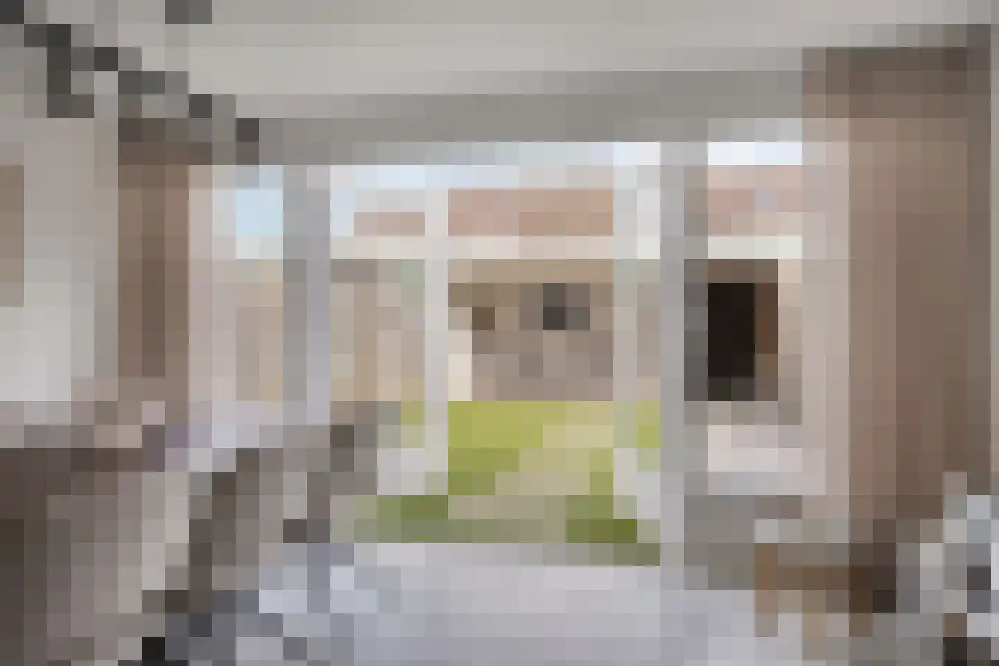 To Janssenstraat 9 's-Hertogenbosch thumbnail 11