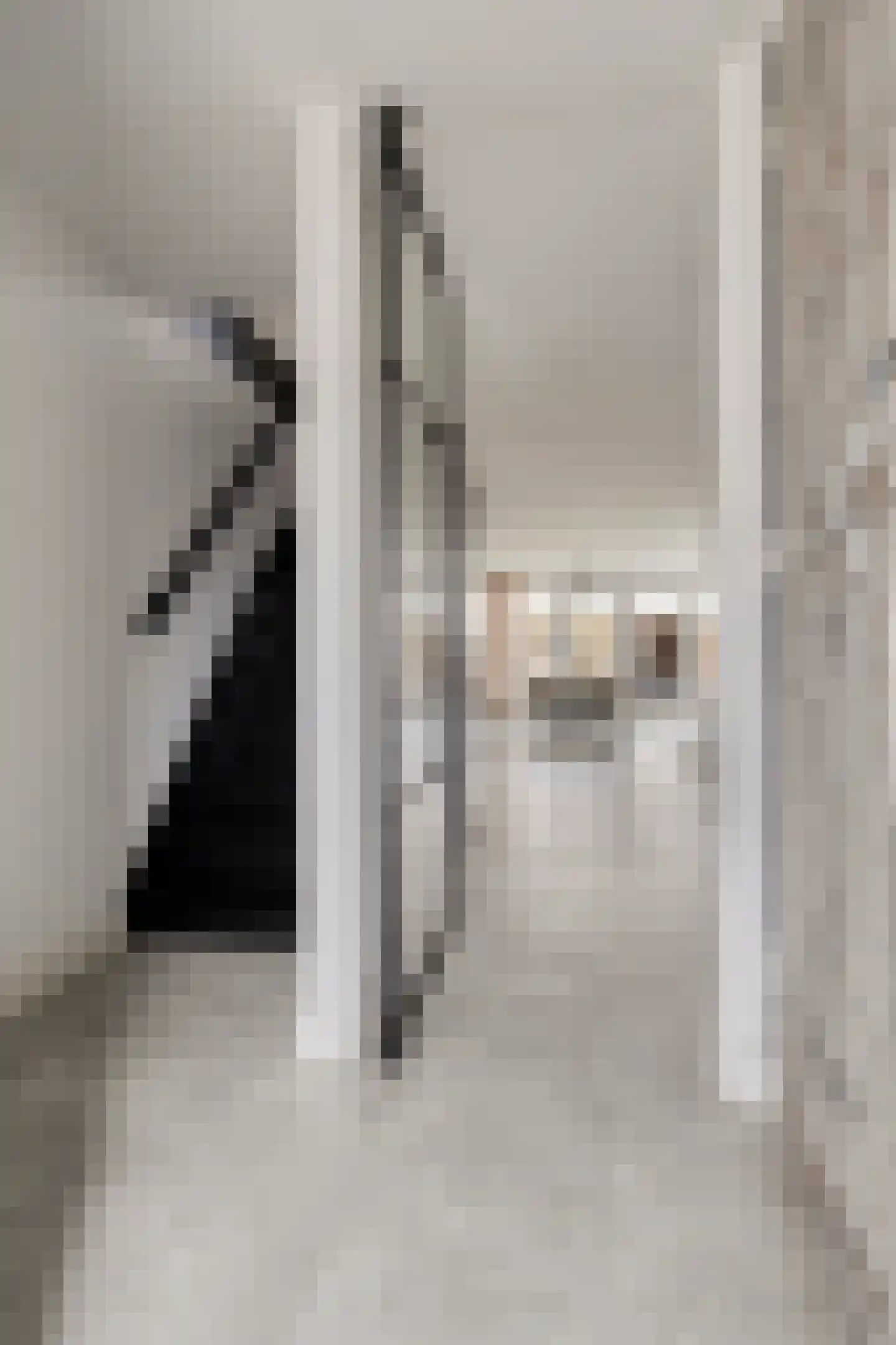 To Janssenstraat 9 's-Hertogenbosch thumbnail 17