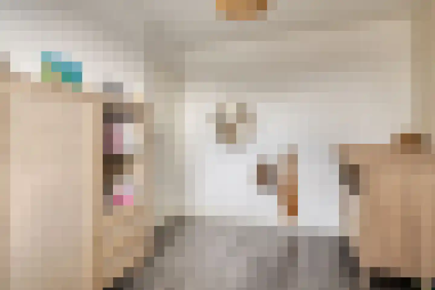 To Janssenstraat 9 's-Hertogenbosch thumbnail 21