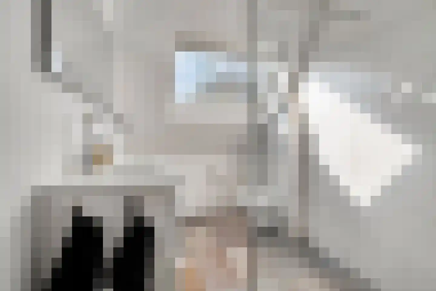 To Janssenstraat 9 's-Hertogenbosch thumbnail 22