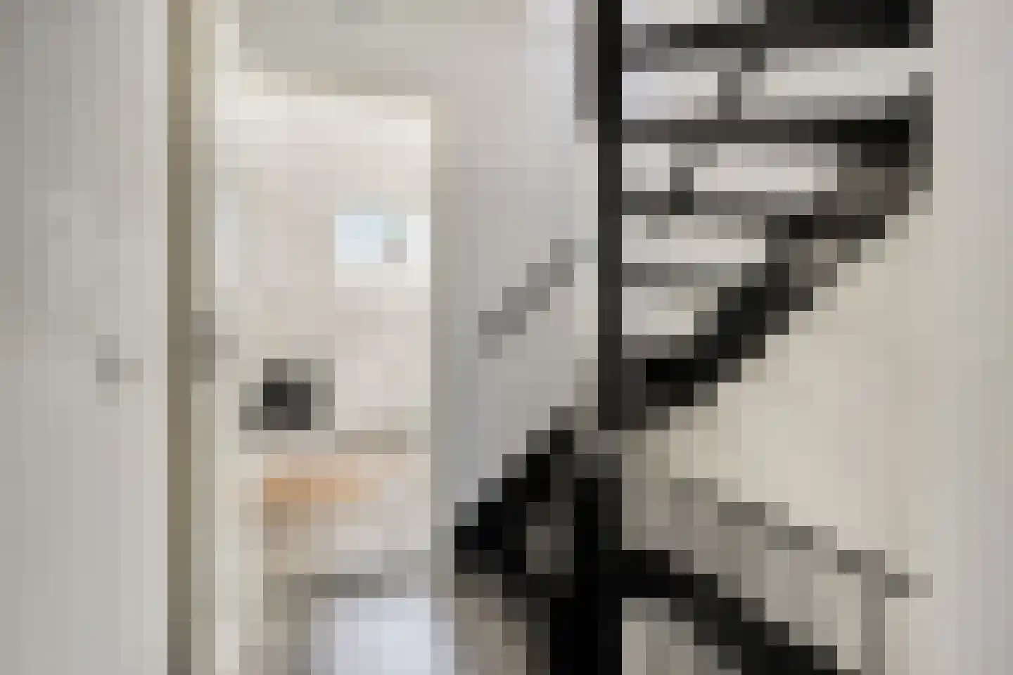 To Janssenstraat 9 's-Hertogenbosch thumbnail 24