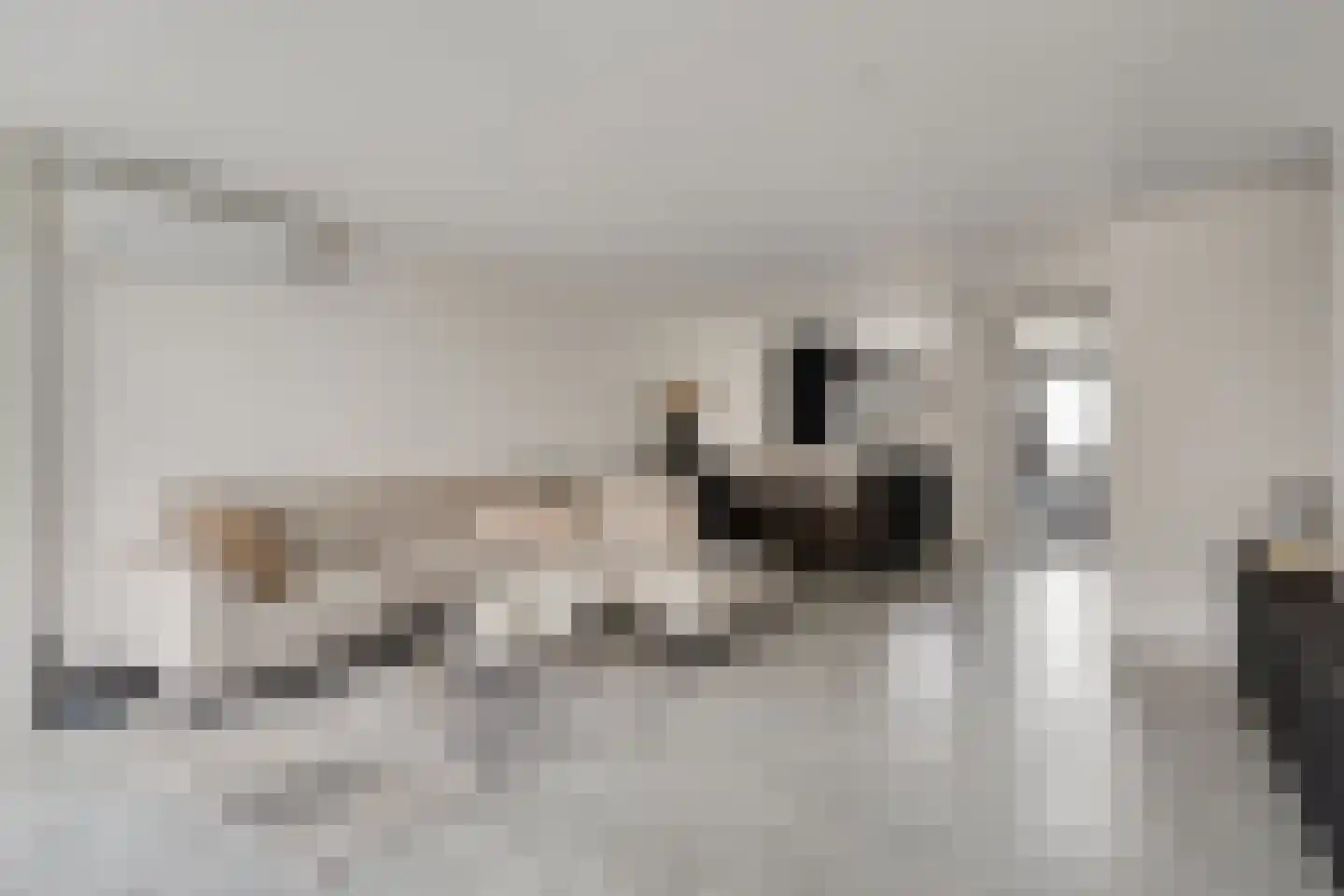 To Janssenstraat 9 's-Hertogenbosch thumbnail 4
