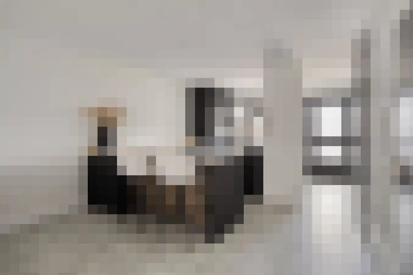 To Janssenstraat 9 's-Hertogenbosch thumbnail 5