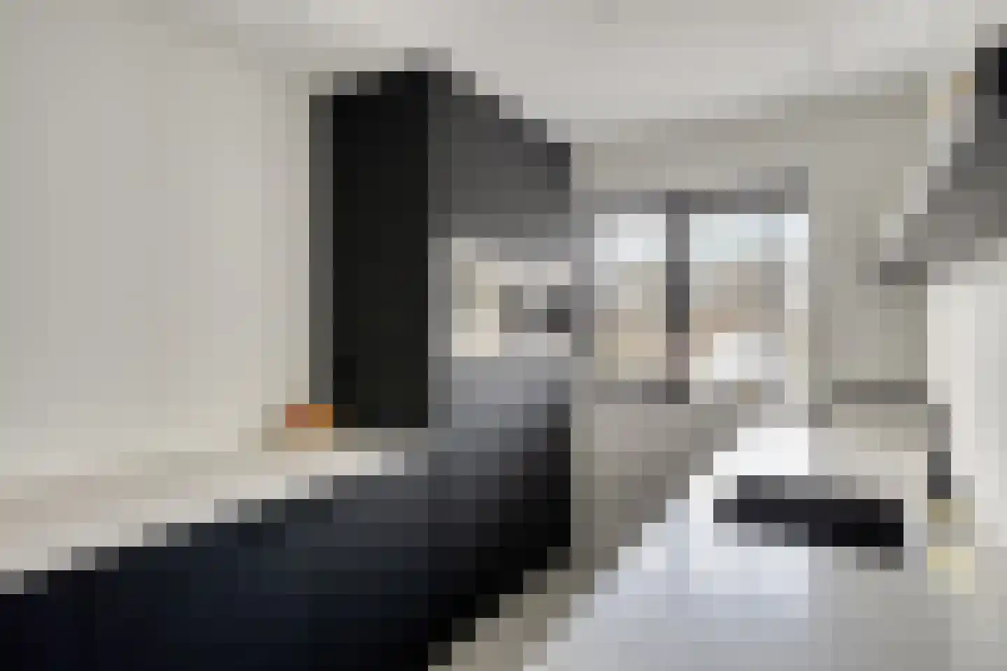 To Janssenstraat 9 's-Hertogenbosch thumbnail 7