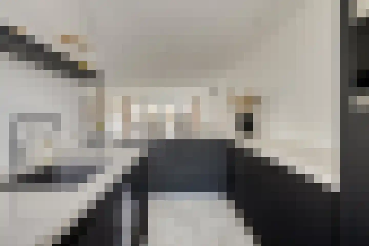 To Janssenstraat 9 's-Hertogenbosch thumbnail 8