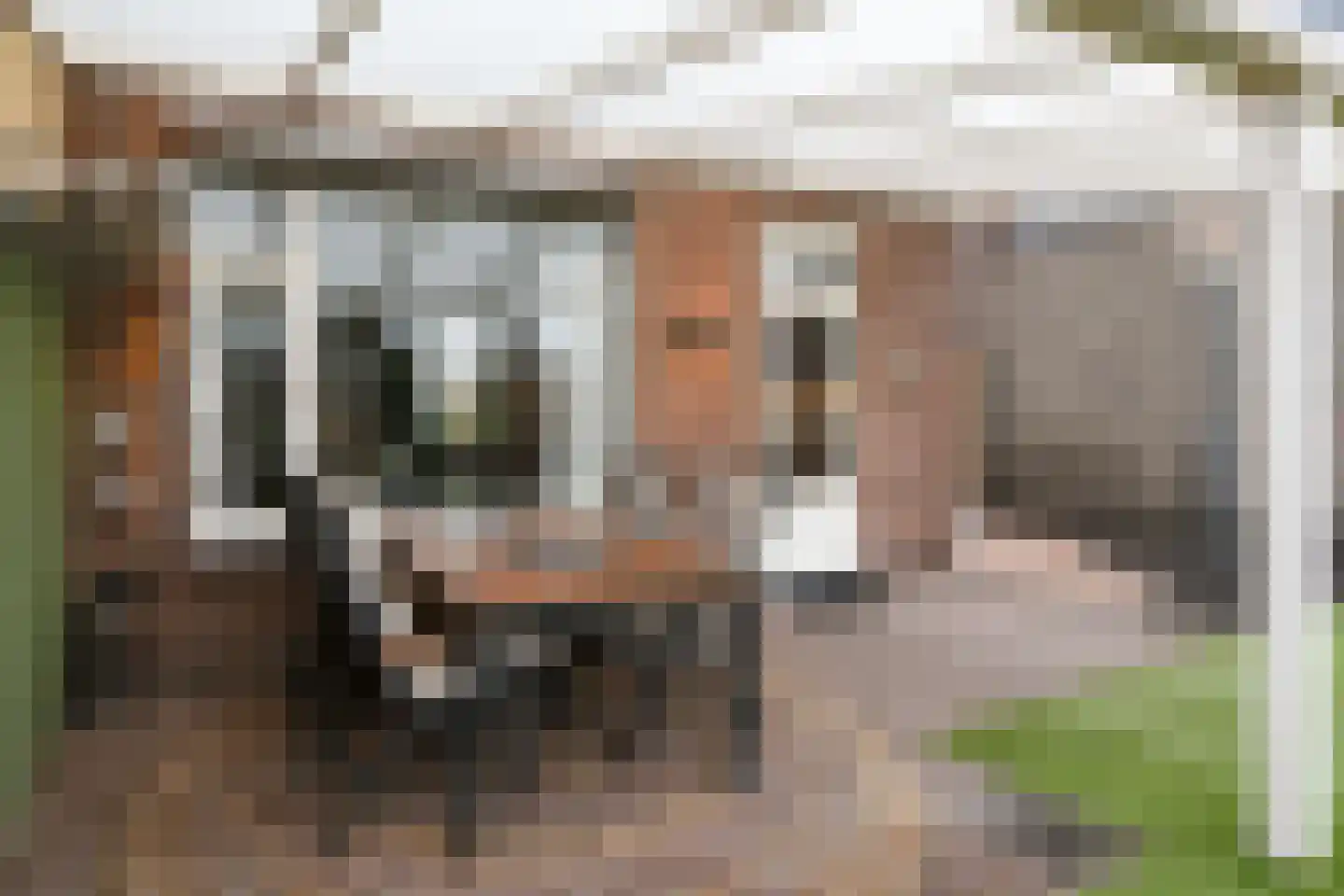 Tobbersdijk 17 Weert thumbnail 23