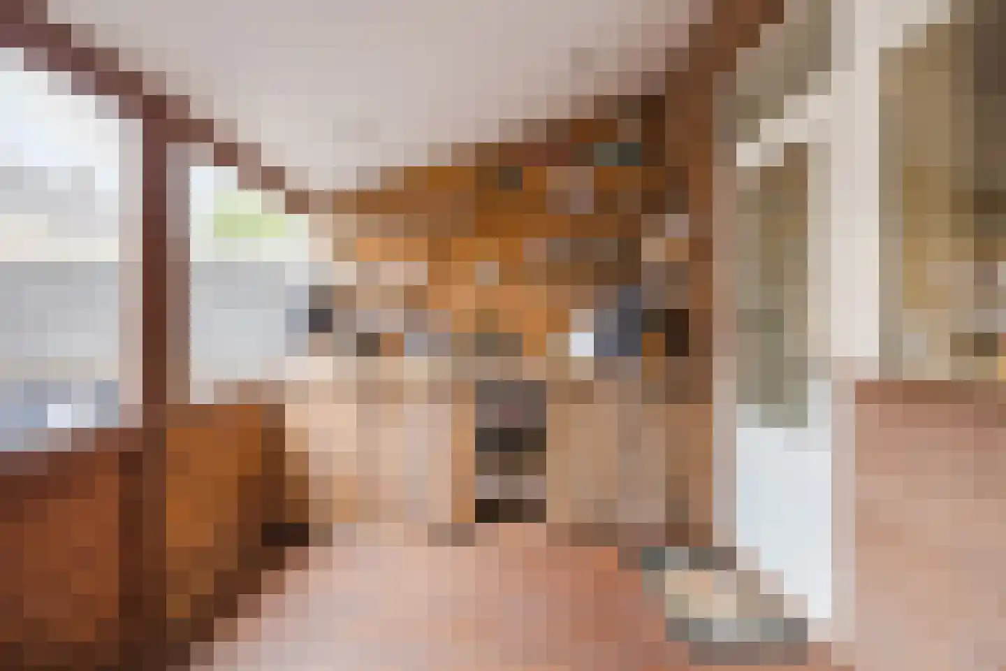 Tobe 10 Oud Gastel thumbnail 20