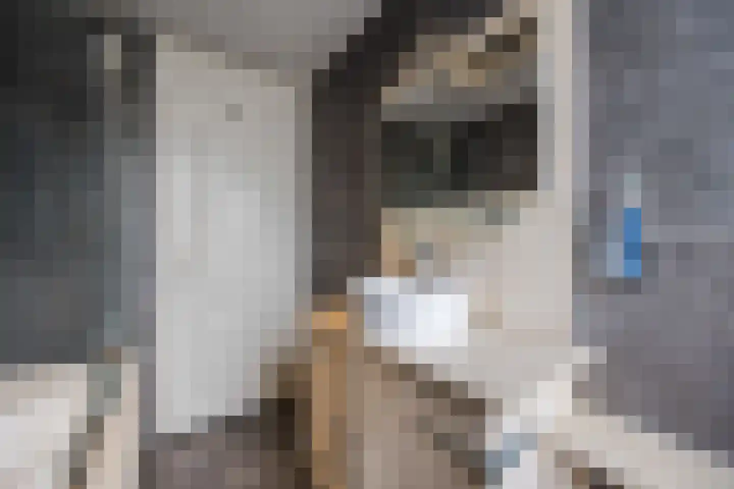 Tobe 10 Oud Gastel thumbnail 31