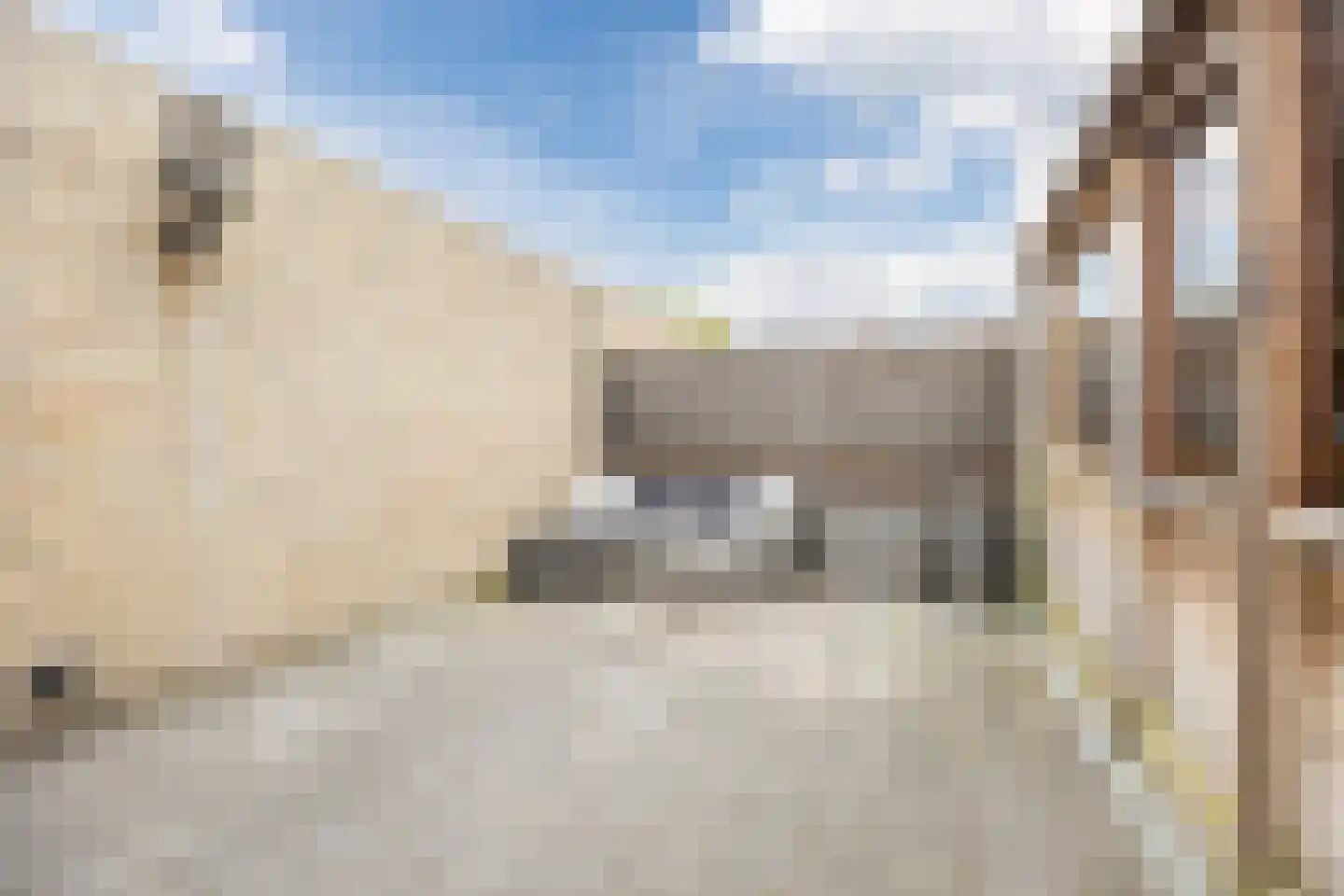 Tobe 10 Oud Gastel thumbnail 4