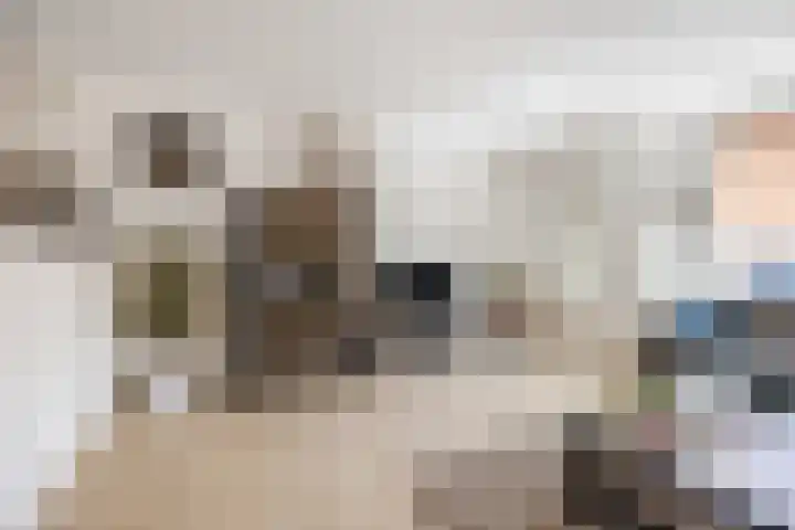 Tobe 12 Oud Gastel thumbnail 15
