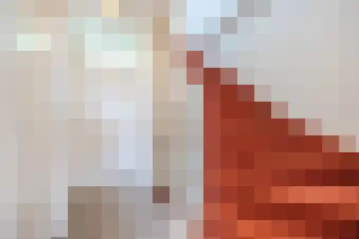 Tobe 12 Oud Gastel thumbnail 30