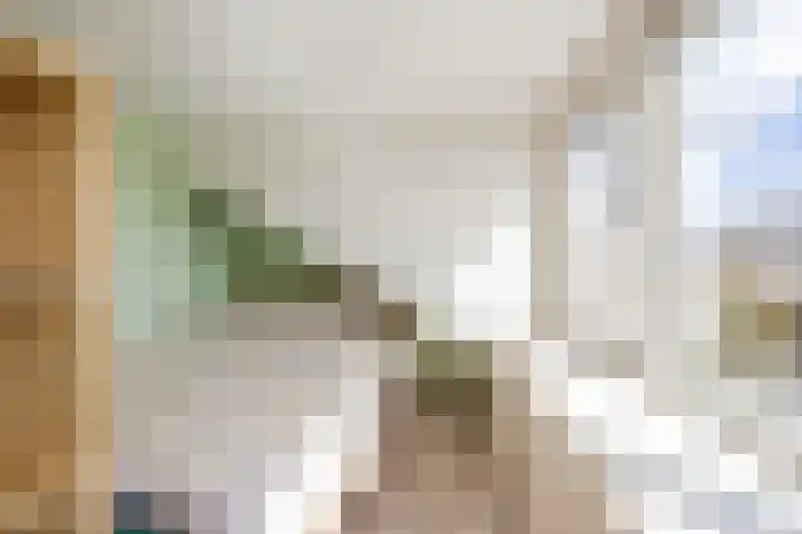 Tobe 12 Oud Gastel thumbnail 39