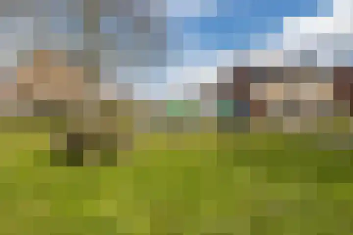 Tobe 12 Oud Gastel thumbnail 47