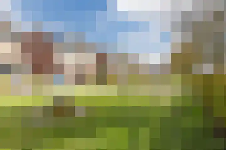 Tobe 12 Oud Gastel thumbnail 48