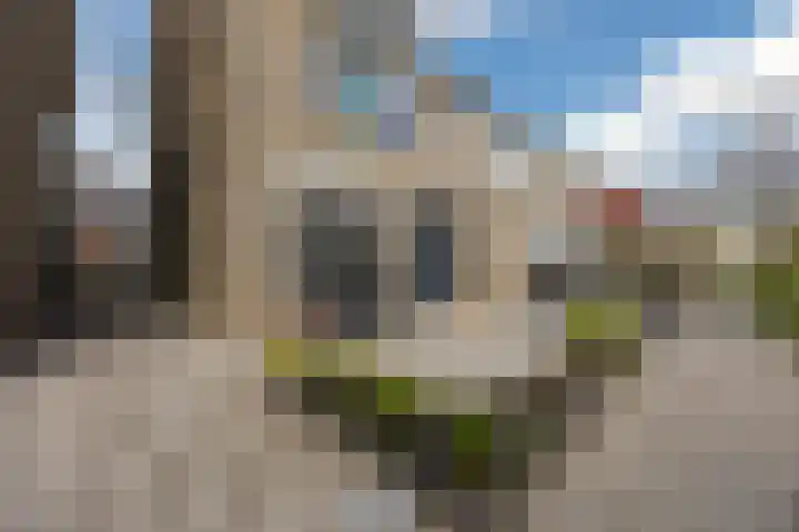 Tobe 12 Oud Gastel thumbnail 9