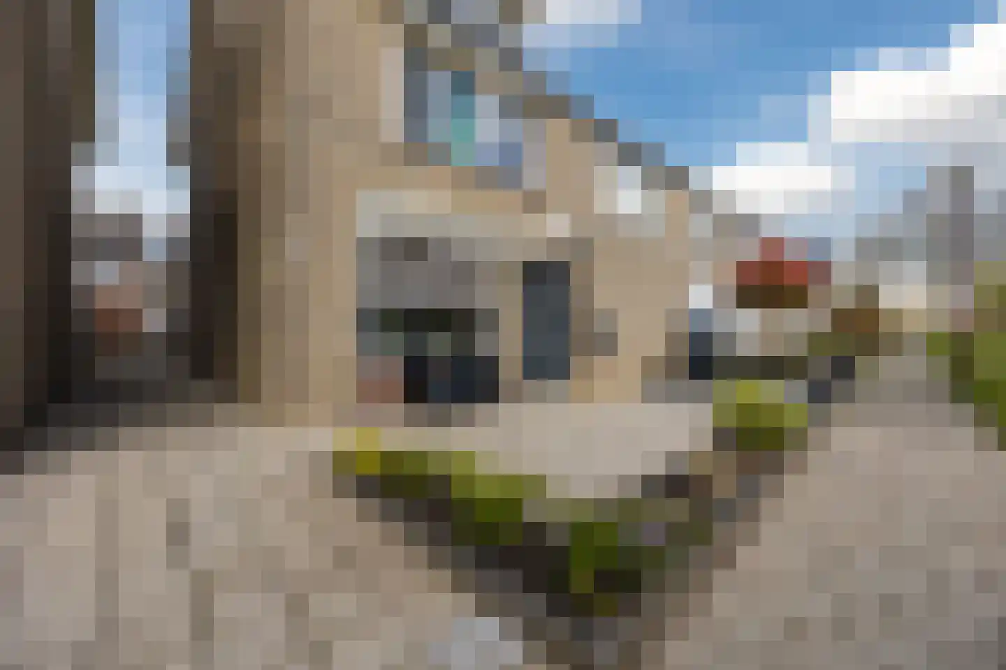 Tobe 12 Oud Gastel thumbnail 9