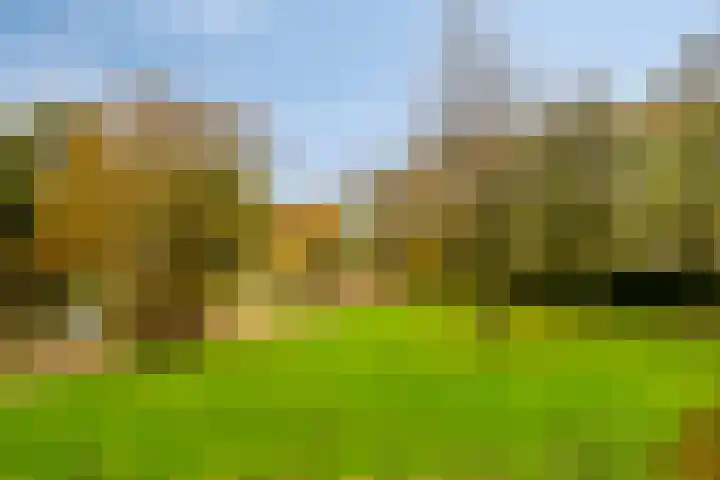 Tobias Asserlaan 106 Diemen thumbnail 18