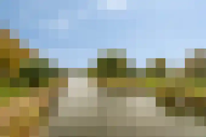 Tobias Asserlaan 106 Diemen thumbnail 29
