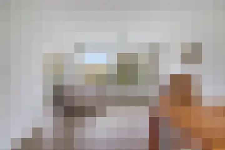 Tobias Asserlaan 106 Diemen thumbnail 4