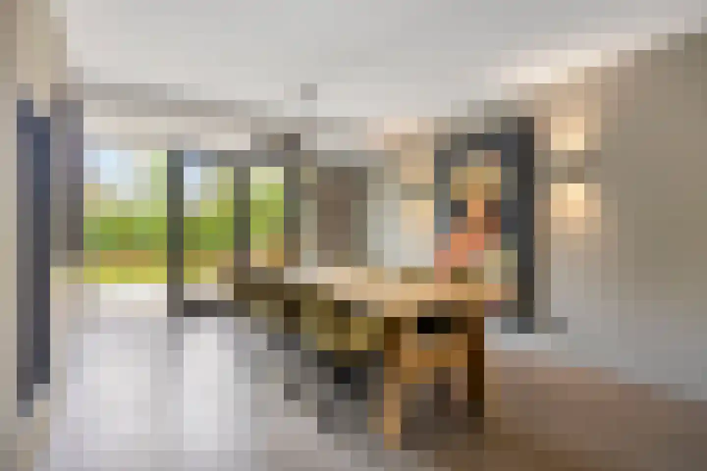 Tobias Asserlaan 112 Berkel-Enschot thumbnail 15