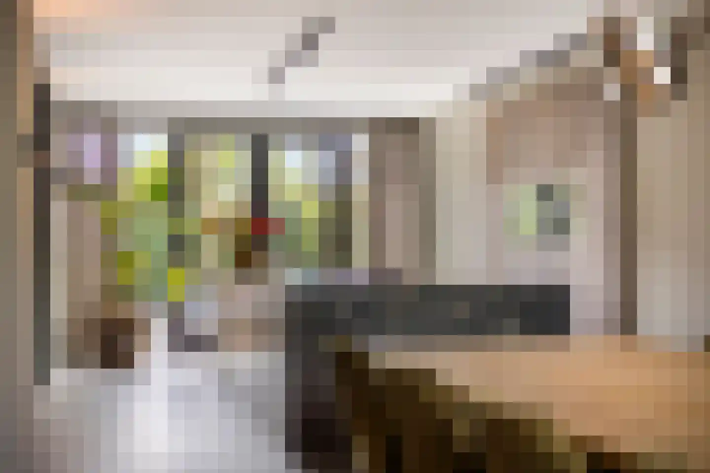 Tobias Asserlaan 112 Berkel-Enschot thumbnail 24