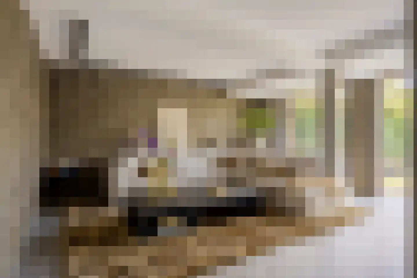 Tobias Asserlaan 112 Berkel-Enschot thumbnail 5