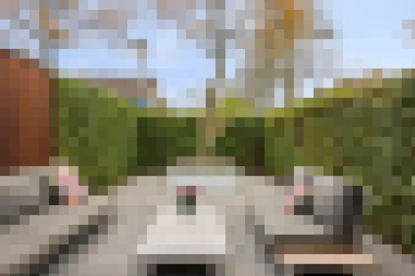 Tobias Asserlaan 112 Berkel-Enschot thumbnail 53