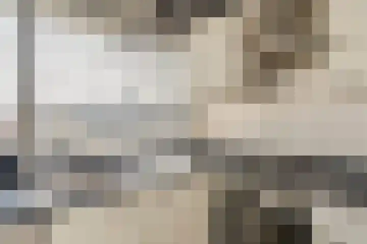 Tobias Asserlaan 121 Tilburg thumbnail 10