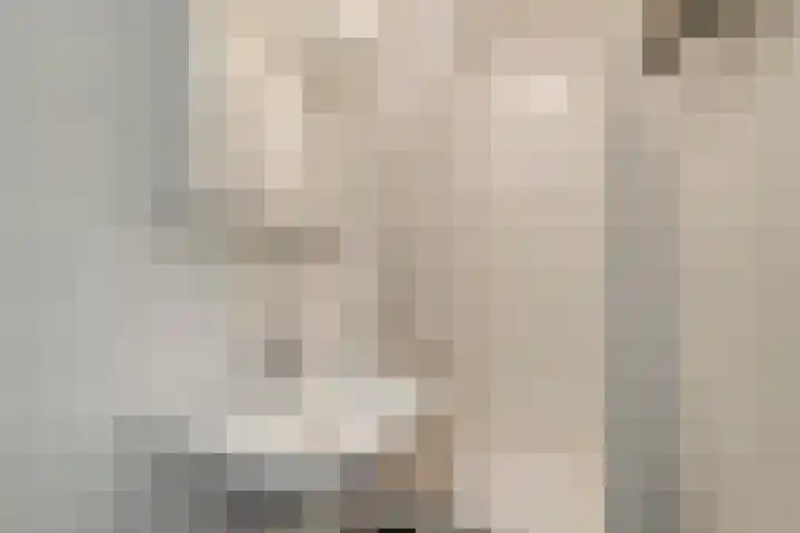 Tobias Asserlaan 121 Tilburg thumbnail 20