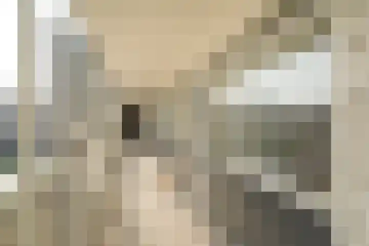 Tobias Asserlaan 121 Tilburg thumbnail 22