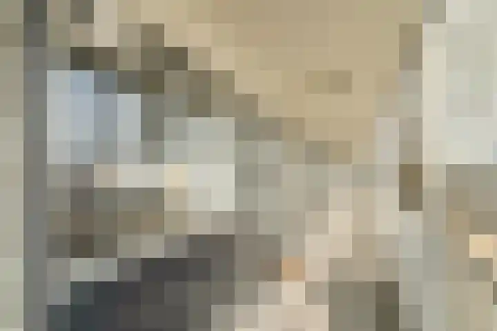 Tobias Asserlaan 121 Tilburg thumbnail 23