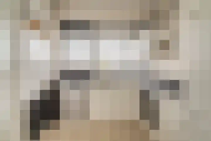 Tobias Asserlaan 121 Tilburg thumbnail 9