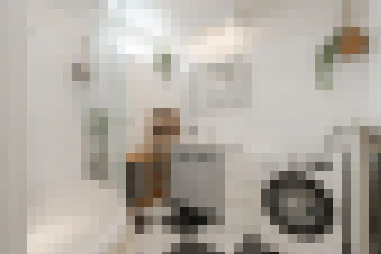 Tobias Asserlaan 126 Diemen thumbnail 31