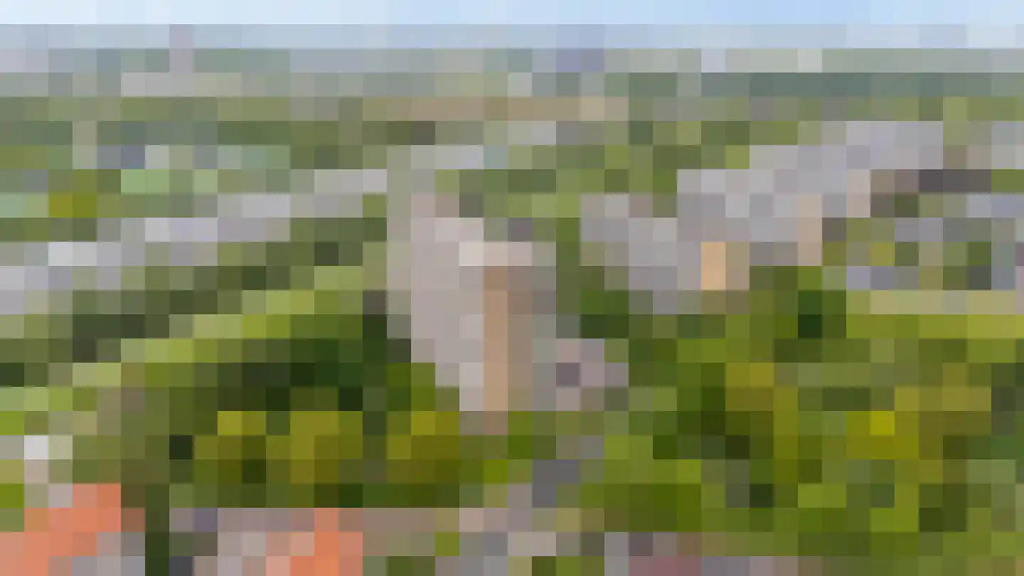 Tobias Asserlaan 126 Diemen thumbnail 40