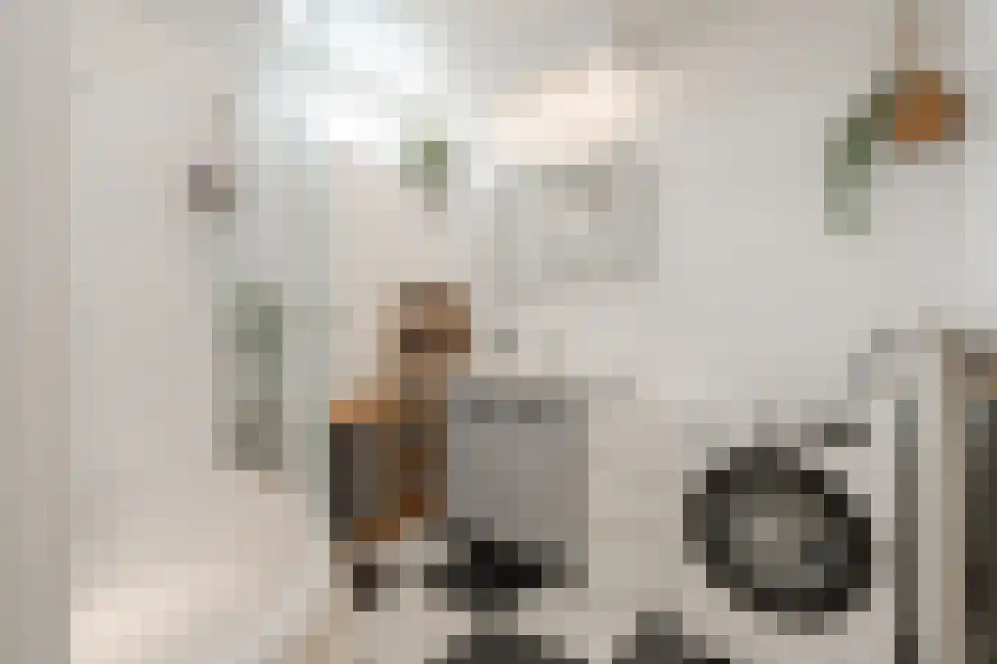 Tobias Asserlaan 126 Diemen thumbnail 5