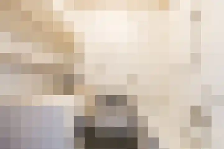 Tobias Asserlaan 128 Diemen thumbnail 17
