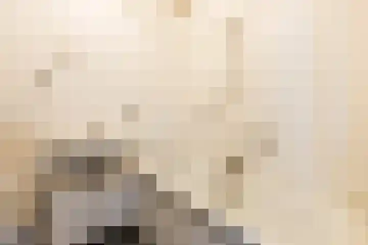 Tobias Asserlaan 128 Diemen thumbnail 18