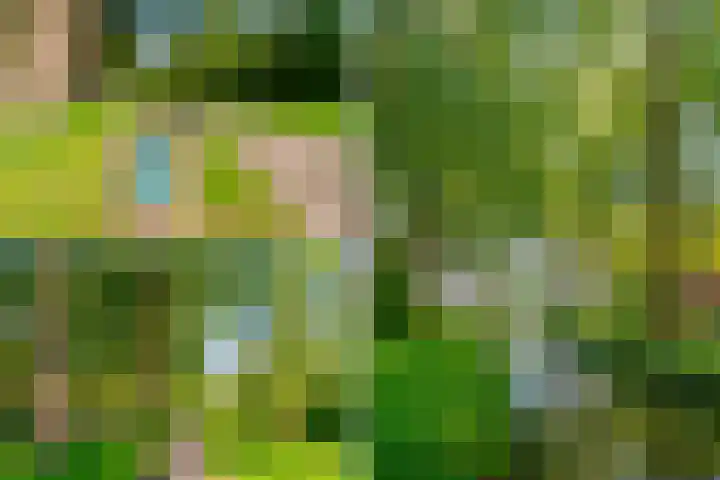 Tobias Asserlaan 128 Diemen thumbnail 32