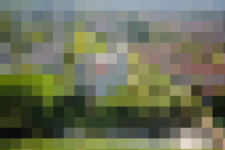 Tobias Asserlaan 128 Diemen thumbnail 39