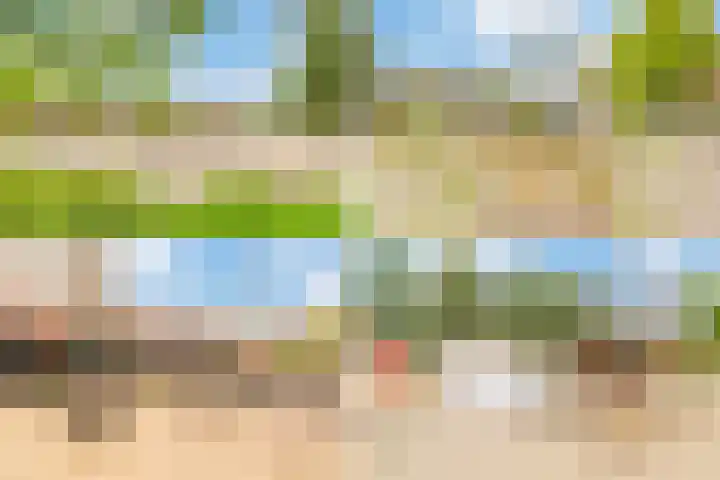 Tobias Asserlaan 128 Diemen thumbnail 44