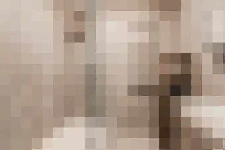 Tobias Asserlaan 132 Diemen thumbnail 27