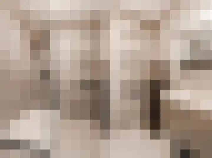 Tobias Asserlaan 132 Diemen thumbnail 28