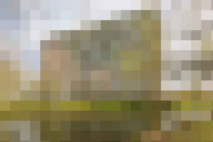 Tobias Asserlaan 132 Diemen thumbnail 35