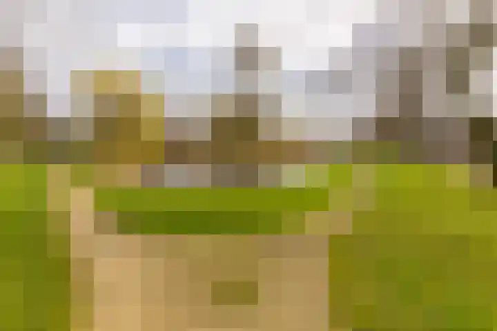 Tobias Asserlaan 132 Diemen thumbnail 37