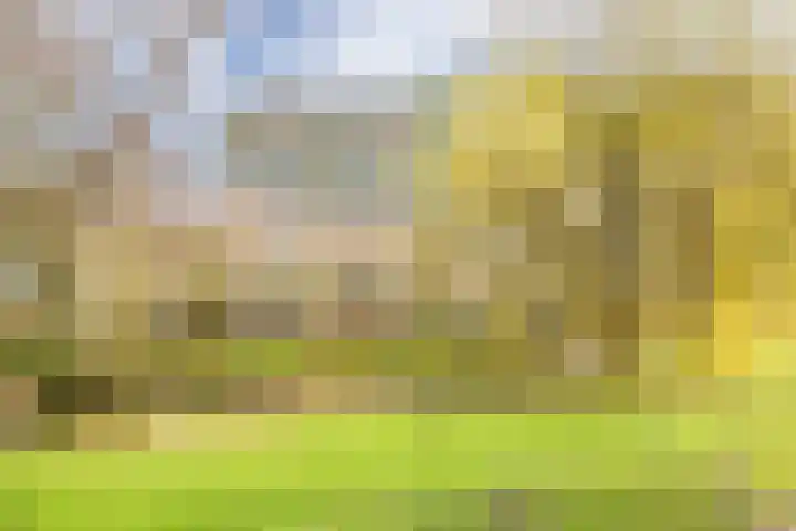 Tobias Asserlaan 132 Diemen thumbnail 38