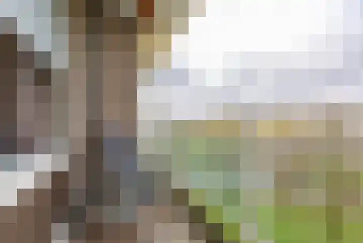 Tobias Asserlaan 132 Diemen thumbnail 4